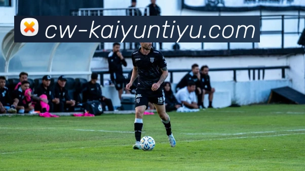 开云体育平台生态图